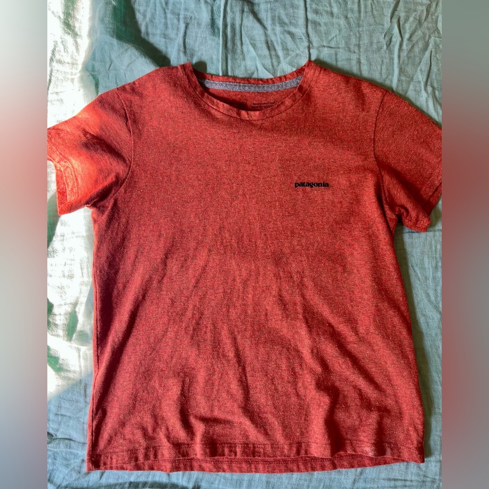 Patagonia Responsibili-Tee